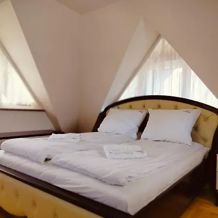 Apartment Dwupoziomowy Victoria Cechini Krynica Zdroj